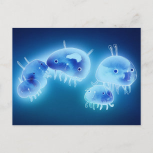 Jelly fish 2013 postcard