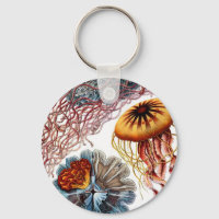 Jelly Fish by Ernst Haeckel