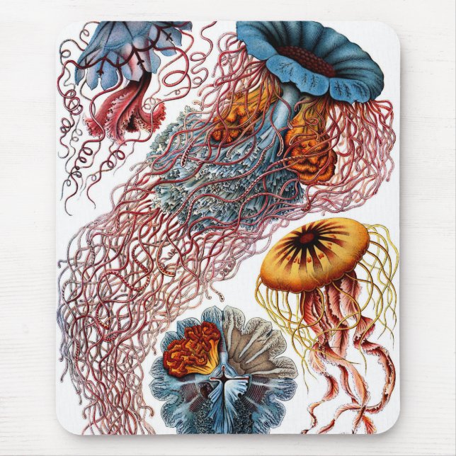 Jelly Fish by Ernst Haeckel Mouse Mat (Front)