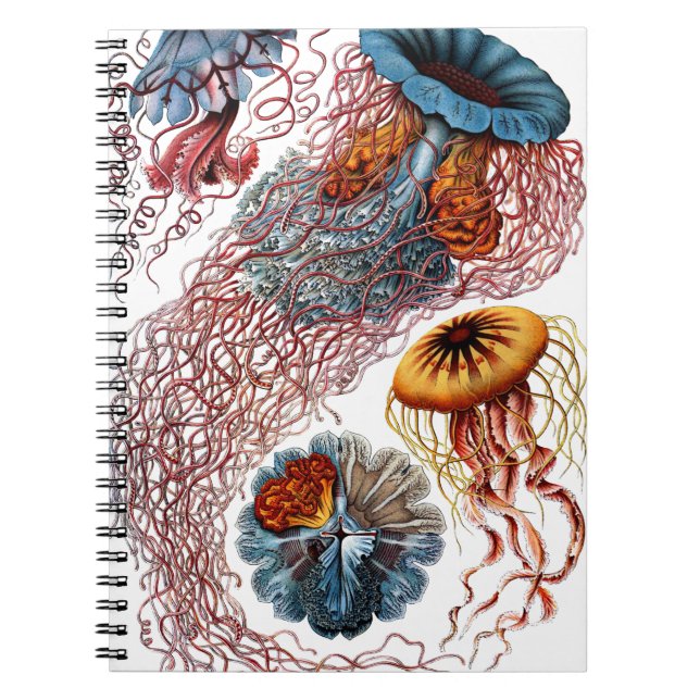 Jelly Fish by Ernst Haeckel Notebook (Front)
