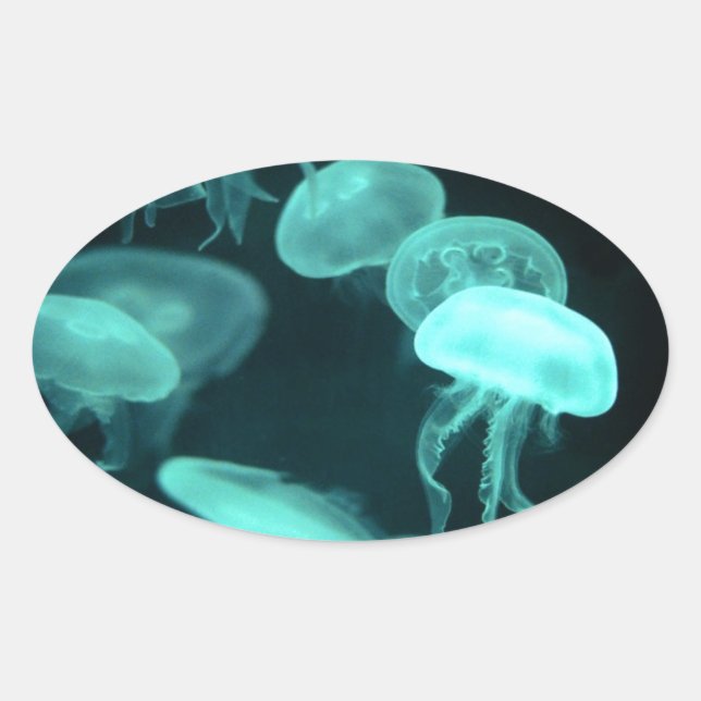 jelly fish glowing oval sticker (Front)