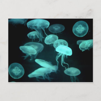 jelly fish glowing postcard