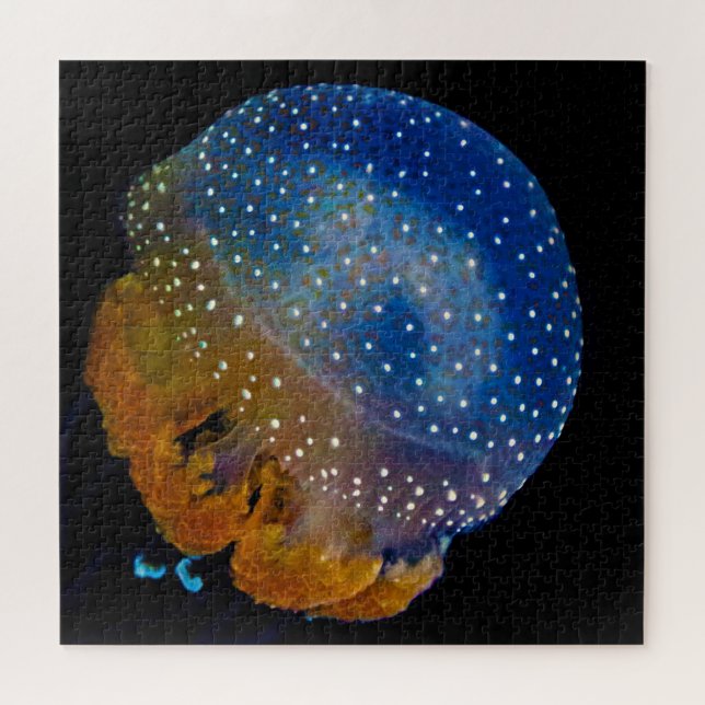Jelly Fish Jigsaw Puzzle (Horizontal)