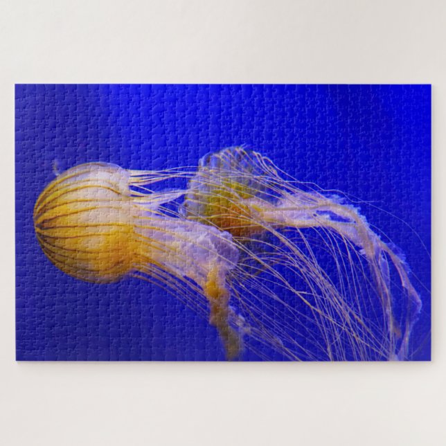 Jelly Fish Jigsaw Puzzle (Horizontal)