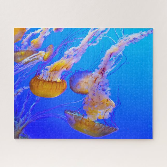 Jelly Fish Jigsaw Puzzle (Horizontal)