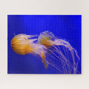 Jelly Fish Jigsaw Puzzle