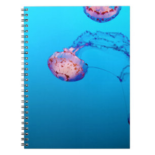 JELLY FISHES UNDERWATER NOTEBOOK
