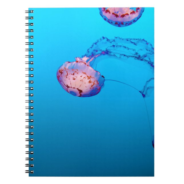 JELLY FISHES UNDERWATER NOTEBOOK (Front)