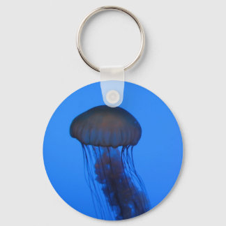 Jelly Key-Chain Key Ring