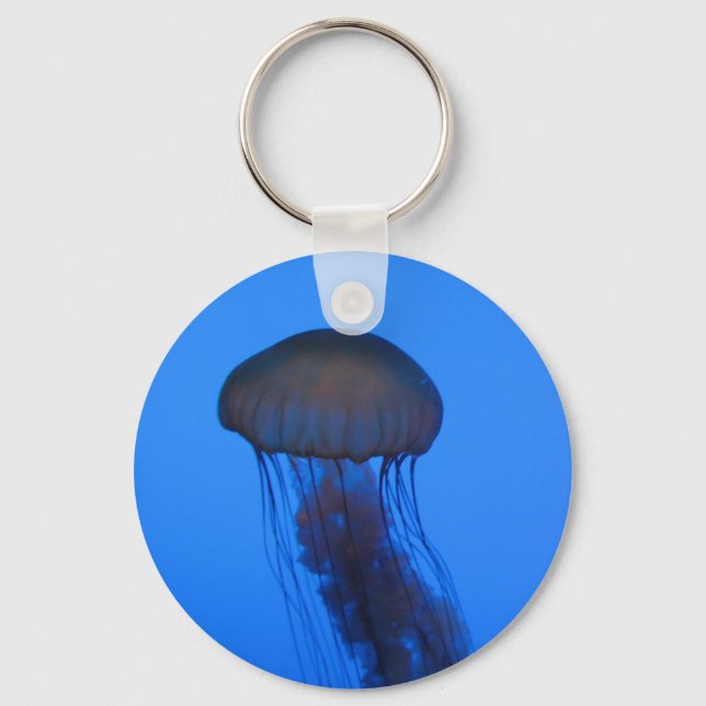 Jelly Key-Chain Key Ring (Front)