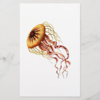 jellyfish