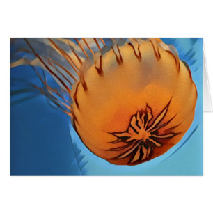 Jellyfish