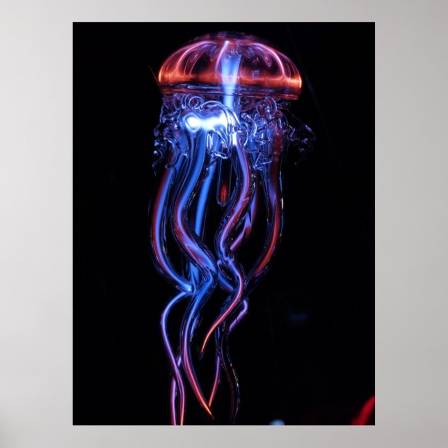jellyfish-113384 AMAZING PHOTOGRAPHY SEALIFE jelly Poster (Front)