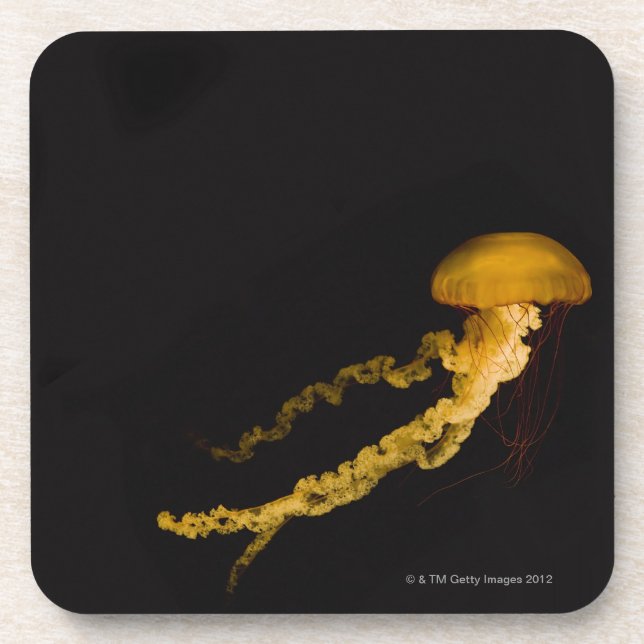Jellyfish 2 coaster (Front)