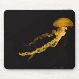 Jellyfish 2 mouse mat