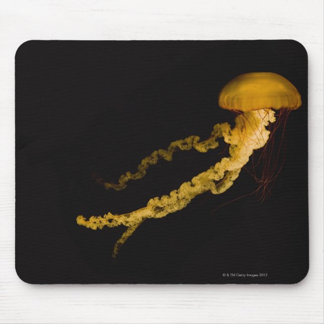 Jellyfish 2 mouse mat (Front)