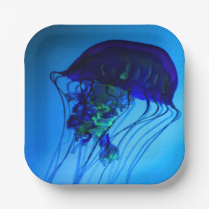 JELLYFISH 2   PAPER PLATE