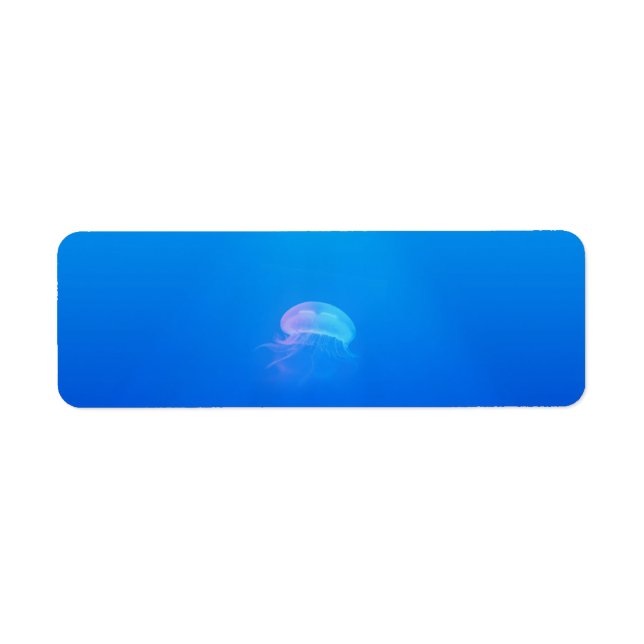 jellyfish-698521 SEA CREATURES ANIMALS BLUE OCEAN (Front)