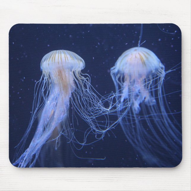 jellyfish, animal, underwater mouse mat (Front)