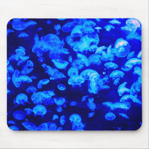 jellyfish, animal, underwater mouse mat