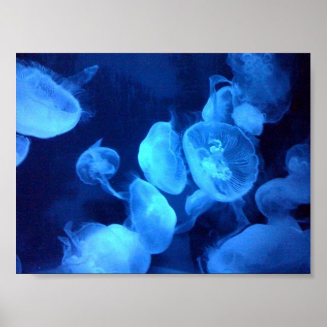 Jellyfish Bath Print (Front)