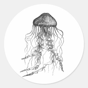 Jellyfish Black and White Pencil Drawing Sketch Classic Round Sticker