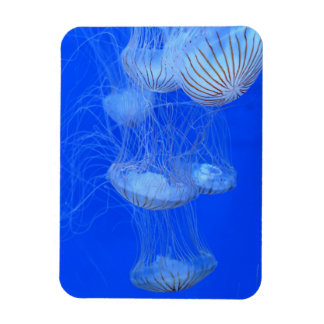 JELLYFISH BLUE OCEAN AQUATIC LIFE PHOTOGRAPHY MAGNET