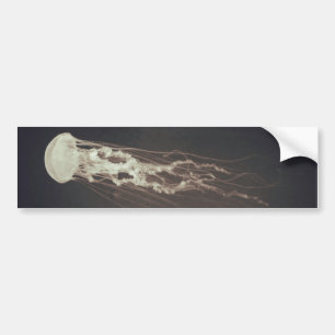 Jellyfish Bumper Sticker