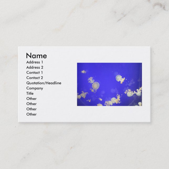 Jellyfish Business Card (Front)