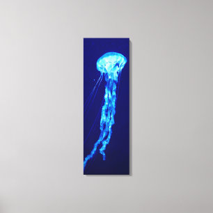 Jellyfish Canvas