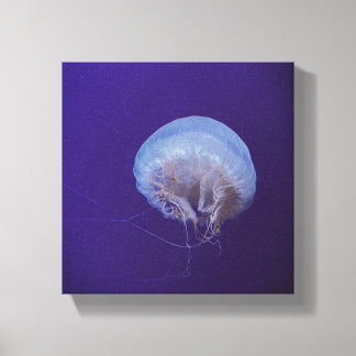 Jellyfish Canvas Print