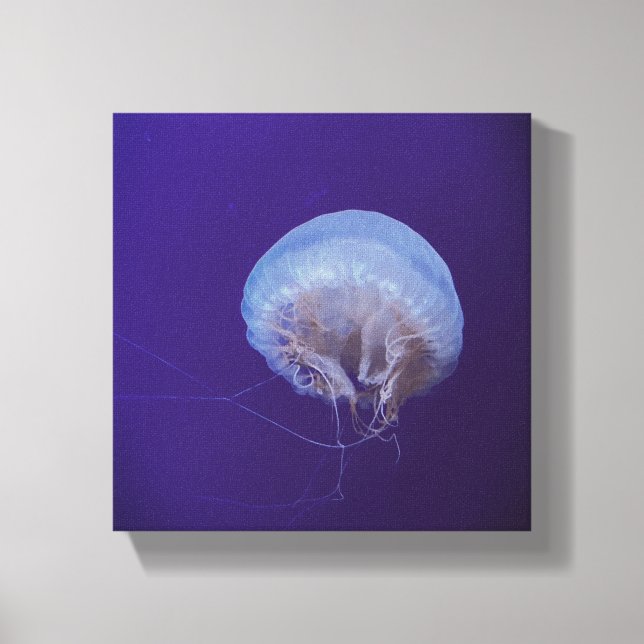 Jellyfish Canvas Print (Front)