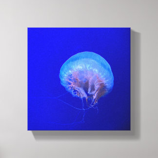 Jellyfish Canvas Print