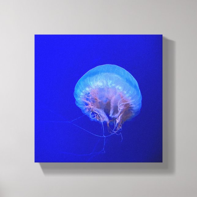 Jellyfish Canvas Print (Front)