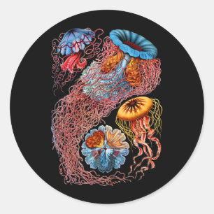 Jellyfish Classic Round Sticker