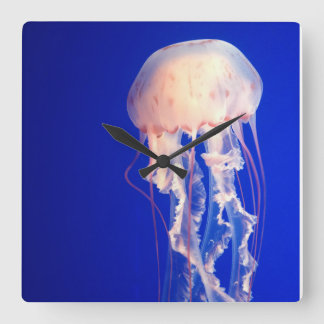 Jellyfish Clock