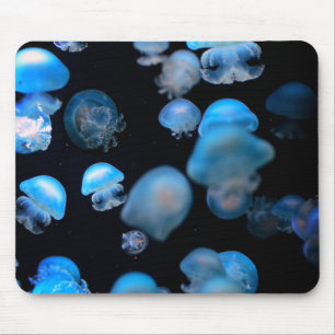 Jellyfish, creatures, marine animals mouse mat