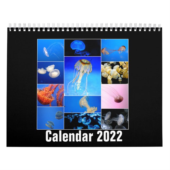 Jellyfish Custom Printed Calendar 2022 (Cover)
