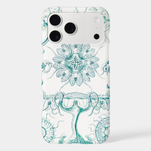 Jellyfish, Discomedusae by Ernst Haeckel