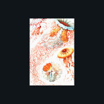 Jellyfish, Discomedusae  by Ernst Haeckel Canvas Print<br><div class="desc">Jellyfish,  Discomedusae Scheibenquallen  by Ernst Haeckel Canvas Print</div>