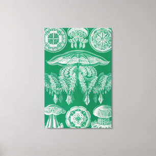 Jellyfish, Discomedusae  by Ernst Haeckel Canvas Print