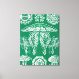 Jellyfish, Discomedusae  by Ernst Haeckel Canvas Print