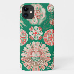 Jellyfish, Discomedusae by Ernst Haeckel iPhone 11 Case