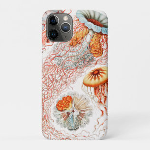 Jellyfish, Discomedusae by Ernst Haeckel iPhone 11 Pro Case