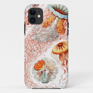 Jellyfish, Discomedusae  by Ernst Haeckel iPhone 11 Case