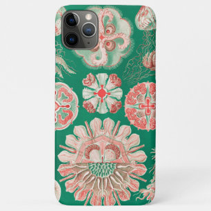 Jellyfish, Discomedusae  by Ernst Haeckel iPhone 11 Pro Max Case