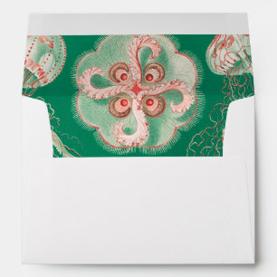 Jellyfish, Discomedusae  by Ernst Haeckel Envelope