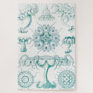 Jellyfish, Discomedusae by Ernst Haeckel Jigsaw Puzzle