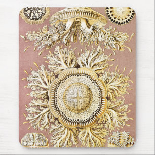 Jellyfish, Discomedusae by Ernst Haeckel Mouse Mat