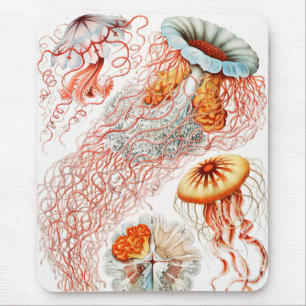 Jellyfish, Discomedusae by Ernst Haeckel Mouse Mat